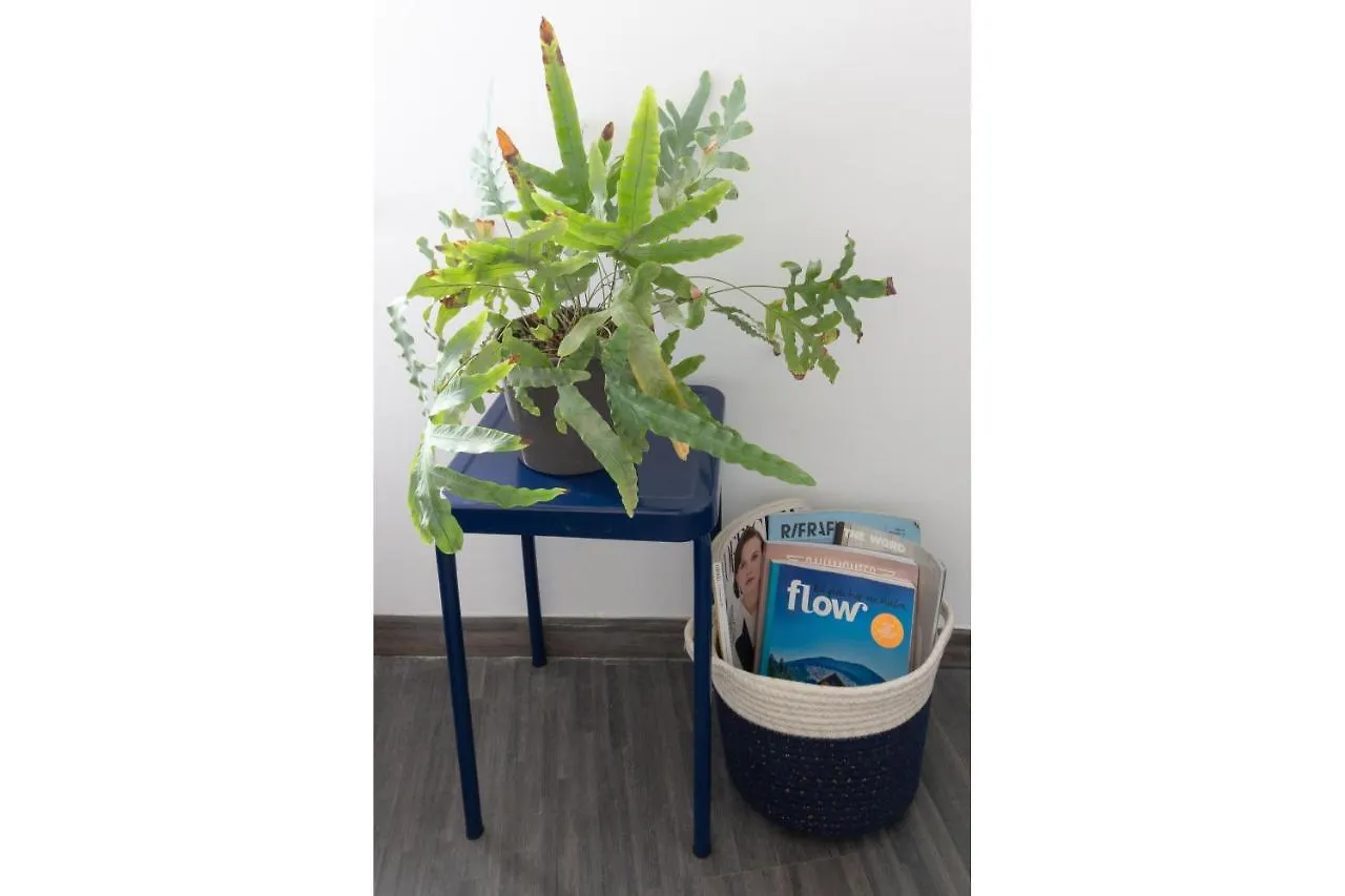 Cosy & Homey Rumpusroom Guesthouse Antwerp Belgium